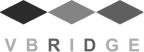 vbridgemegacorp.com